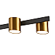 Подвесная люстра Natali Kovaltseva LED LAMPS 81129/6C BRASS BLACK