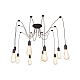 Подвесная люстра Loft IT Spider Loft1162/10