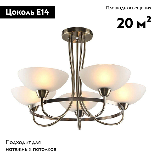 Подвесная люстра Moderli Lione V1204-5C