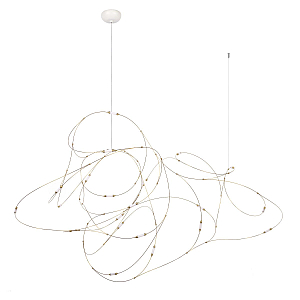 Подвесная люстра Loft IT Flock of Light 10309/21