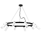 Подвесная люстра Lightstar Rullo (571020+214436-5+214486-5+202431-10) LR0203658651