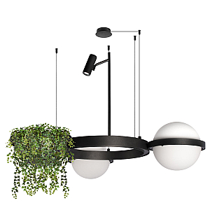 Подвесная люстра Loft IT Jardin 10121/2