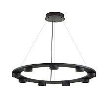 Подвесная люстра Odeon Light Turman 6631/75L