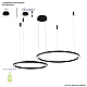 Подвесная люстра Crystal Lux FORTUNA SP123W LED BLACK