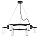 Подвесная люстра Lightstar Rullo (571016+214436-6) LR016366