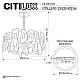 Подвесная люстра Citilux Dart CL231272