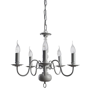 Подвесная люстра Arte Lamp Antwerpen A1029LM-5WC