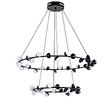 Подвесная люстра ARTE Lamp A3619SP-48BK