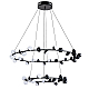Подвесная светодиодная люстра Arte Lamp Dexter A3619SP-48BK