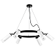 Подвесная люстра Lightstar Rullo (571016+214436-3+214486-3+202431-6) LR0163638631