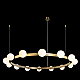 Подвесная люстра Loft IT Hoop 10311/14