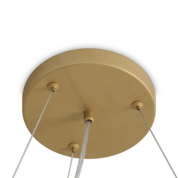 Подвесная люстра Freya Modern Bless FR5567PL-06G