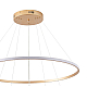 Подвесная светодиодная люстра Zortes RINGOLIGHT ZRS.33325.75C