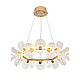 Подвесная люстра Modelight MDL.89092.800HC GD