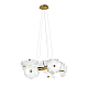 Подвесная люстра Loft IT Bloom 10352/650 AB