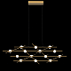 Подвесная люстра DeLight Collection Molecular MD18001067-14A black/gold