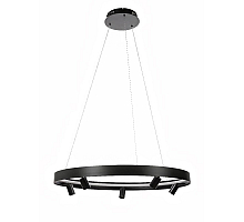 Подвесная люстра Myfar James MR2201-1PL