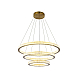 Подвесная светодиодная люстра Zortes GRACE ZRS.30220.228