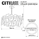 Подвесная люстра Citilux Dart CL231271