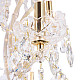 Подвесная люстра Maytoni Doris DIA881-PL-24-G