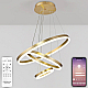 Подвесная люстра Natali Kovaltseva Oreol LED LAMPS 81279