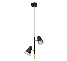 Подвесной светильник F-Promo Trandy 4618-2P