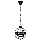 Подвесная люстра Loft IT Lantern Residential Loft3043-Bl