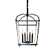 Подвесная люстра DeLight Collection BRCH9123BK