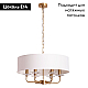 Подвесная люстра Arte Lamp Jennifer A8555SP-6AB