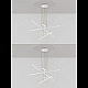 Подвесная люстра Natali Kovaltseva Line LED LAMPS 81106/6C