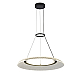 Подвесная люстра Delight Collection OD2501-D60 gold/black