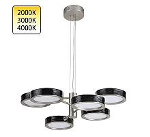 Подвесная люстра Odeon Light L-Vision Rivera 5451/99LB