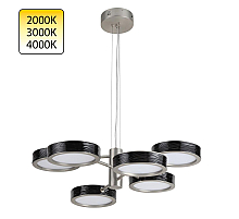 Подвесная люстра Odeon Light L-Vision Rivera 5451/99LB