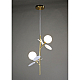 Подвесная люстра Zortes Floret ZRS.01201.02