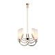 Подвесная люстра ST Luce Elegra SL1402.263.08
