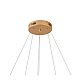 Подвесная светодиодная люстра Zortes RINGOLIGHT ZRS.33320.63C