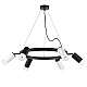 Подвесная люстра Lightstar Rullo (571016+214437-3+214436-3+202431-6) LR0163733631