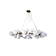 Подвесная люстра Zortes Floret ZRS.01201.18