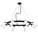 Подвесная люстра Lightstar Rullo (571018+214436-4+214486-4+202430-8) LR0188643640