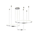 Подвесной светильник Zortes RINGOLIGHT ZRS.33321.120F