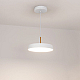 Подвесной светодиодный светильник Arlight SP-Elegant-R300-17W Day4000 033919(1)