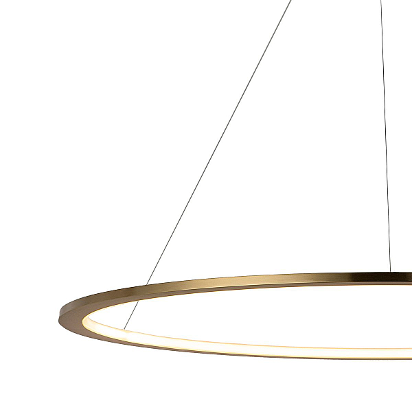 Подвесной светодиодный светильник Loft IT Ring 10014XL