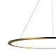 Подвесной светодиодный светильник Loft IT Ring 10014XL