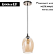 Подвесной светильник Arte Lamp Propus A4344SP-1AB