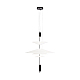 Подвесной светильник Loft IT Skylar 10244/C Black