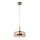 Подвесной светодиодный светильник MyFar Charlie MR2130-1PL