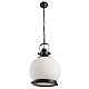 Подвесной светильник Arte Lamp Nautilus A8025SP-1CK