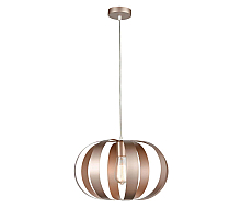 Подвесной светильник Vele Luce Ophir VL5324P21