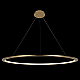 Подвесной светодиодный светильник Loft IT Ring 10014XXL
