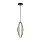 Подвесной светодиодный светильник Freya Sabi FR6131PL-L24B